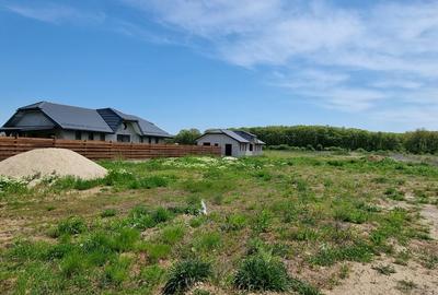 Crevedia terenuri parcelate Samurcasi - 1