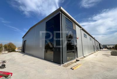 Hale depozitare/productie deschidere la Centura\Chitila - 4