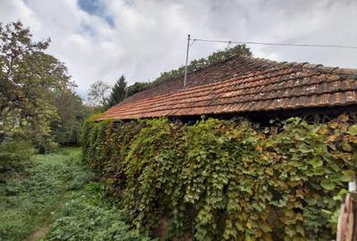 Casa demolabila, teren 780 mp, Tarlungeni.