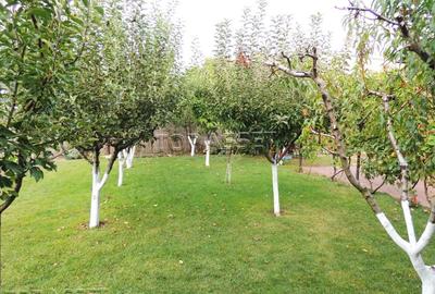 Ansamblu de proprietati in Costinesti - 16