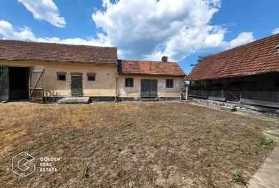 Casa  cu 3 corpuri de cladire, sat Lalasint - 3