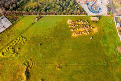 Teren industrial cu PUZ - 969mp - 4