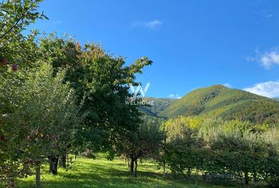 Teren intravilan 2100 mp - Valea Avligului - Sibiu - 5