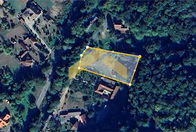 Teren intravilan 2.635 mp Savarsin ideal casa sau investitie - 1
