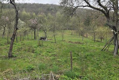 RECO Casa in Sustiu - 26