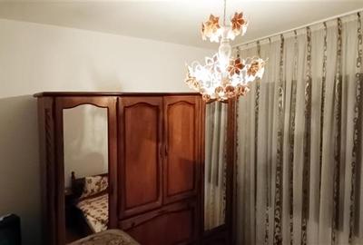 Casa individuala de vanzare in Berzasca, jud. Caras-Severin - 9