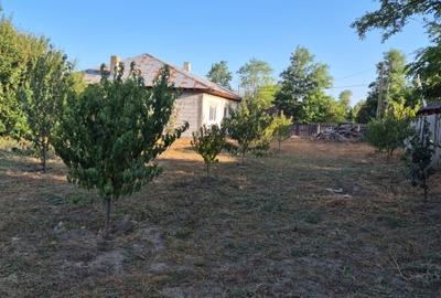 Casă de vânzare în comuna Făcăeni, județul Ialomița – teren 2600 mp, casă nouă, - 13