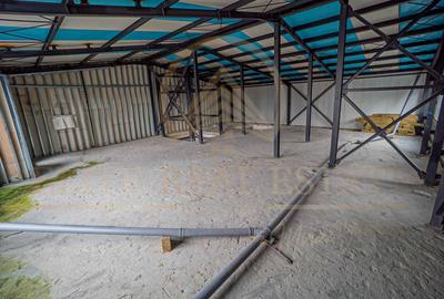 Bulevardul Mamaia - Oportunitate Unica de Investitie!! - 14