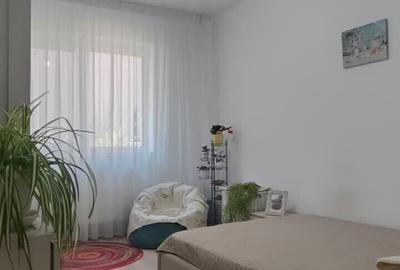 Metrou Berceni - apartament 2 camere + curte - 9