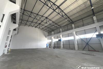 Hala depozitare sau productie 570mp, 2 rampe, Someseni - Aeroport - 1