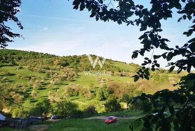 Teren cu cabane A-Frame și priveliște către Munții Făgăraș - 3