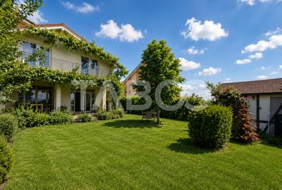 Casa individuala de vanzare - Sura Mica- 4 camere si 490 mp teren - 19