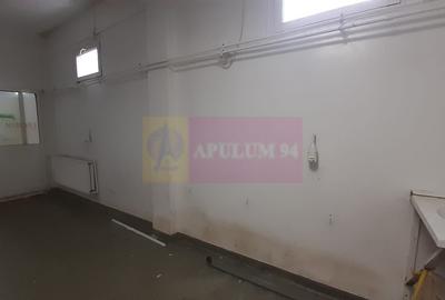 Spațiu producție, depozitare pretabil activități diverse - 2