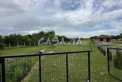 Teren Intravilan (5000 mp),situat in Lelesti, Com. Lelesti - 10