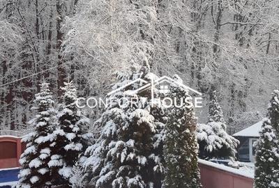 VILA D+P+E+M, 12 camere, piscina , padure, IANCU NICOLAE - 44