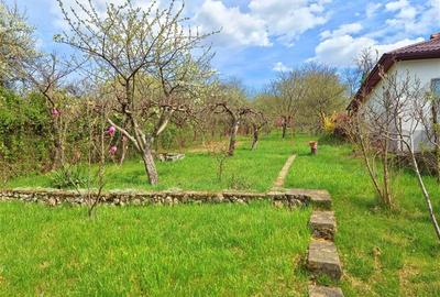 CASA LA VLADESTI - OAZA DE LINISTE APROAPE DE ORAS - 16