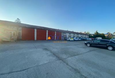 Teren intravilan 21. 700 mp, ideal dezvoltare imobiliara - 9