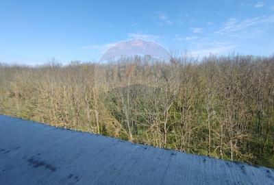 Apartament 4 camere CRANGUL PETRESTI. - 9