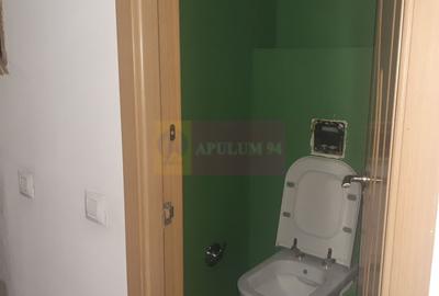 Spatiu Comercial Stradal Șoseaua Colentina zona Teiul Doamnei Suveica - 50