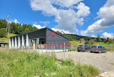 ●Casa(pensiune)noua, an 2023, 5 dormitoare, teren 2020mp ● - 2