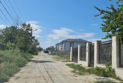 Vand teren in Palazu Mare lot de casa - 7