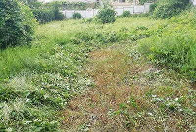 Casa si teren Precista - 1