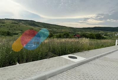 Vand teren autorizat in Colonia Sopor – 803 mp, cu utilitati - 4