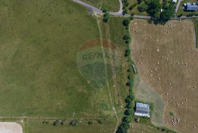 Teren Bran -Sohodol, Strada La mesteceni, 6900mp - 12