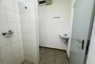 Spatiu cu alta destinatie Lipovei !!! - 8
