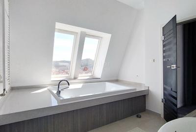 Priveliste Panoramica Spre Oras Si Masivul Tampa - 24