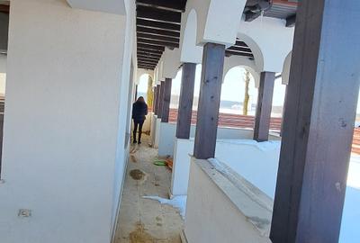CASA 4 CAMERE CU SUPRAFATA GENEROASA IN  STIL NEOROMANESC - 52