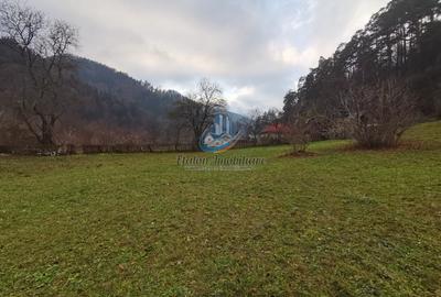 Teren Straja – Pangarati 3560 m, zona de Pensiune - 3