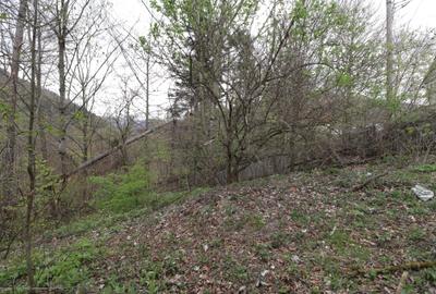 Teren 1346 mp cu utilități, lângă Castelul Peleș și Parcul orașului - 2