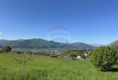 Teren Construcții intravilan de 4528 mp, în Bistrița