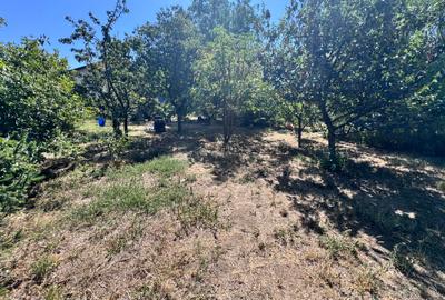 Casa individuala P+1+M amplasata pe un teren de 1200 mp. - 51