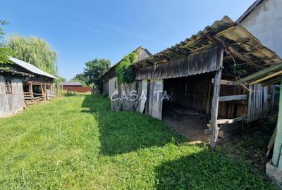 Casa 3 Camere + Teren si Anexe, Tirculesti- Danesti - 18