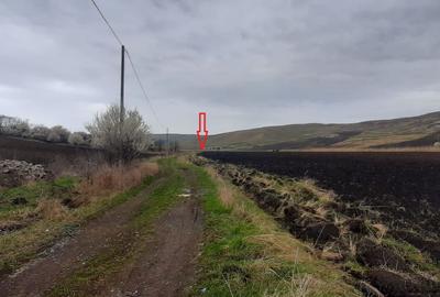 Teren agricol pentru investitii, zona Valea Calda -Iris - 3