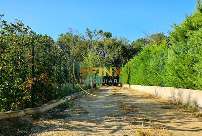 Casa pe parter, Balotesti, intr-o zona linistita in proximitatea padurii. - 1