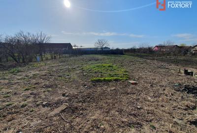 Spatiu comercial cu 4 incaperi de vanzare in Denta, zona Central - 22