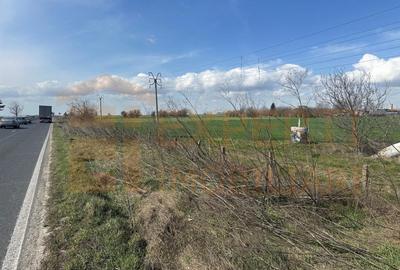 Teren 18.000 mp de vanzare, DN -Stația Meteo spre Valu lu Traian - 9