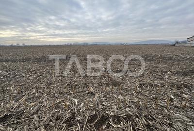 Teren intravilan 5800 mp cu potential de investitie - 2