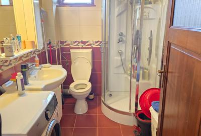 Vand casa in Deva, S+P+M + filigorie, zona Viile Noi (str. Luncii), - 9