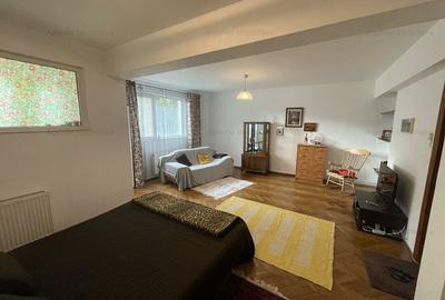 Garsoniera UNICAT! 57mp + Boxa - Maior Coravu-Vatra Luminoasa-Pet Friendly! - 2