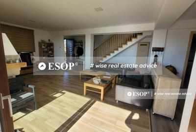 Teren de vanzare, Dascalu, ID 15402 - 10