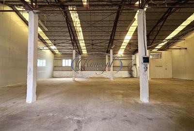 Hale 200-400-1.000 mp, productie, depozitare, logistica - 2