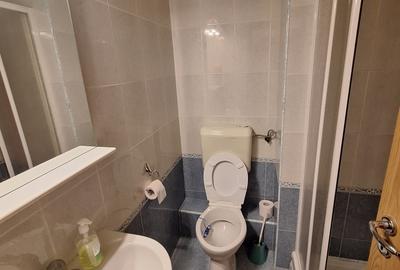 450 euro!!!Ap.cu 3 camere Et 1 cu centrala proprie Zona Bucovina - 10