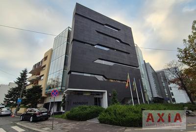 Birou, 300 mp în Aviatorilor