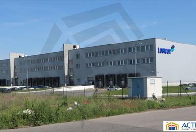 Inchiriere hala Timișoara in cadrul Logicor - 2