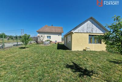 Casa individuala cocheta, cu 4 camere - Remetea Mare - 21