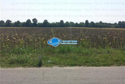 Vanzare Teren Intravilan  Herasti Giurgiu 2 HA - 4